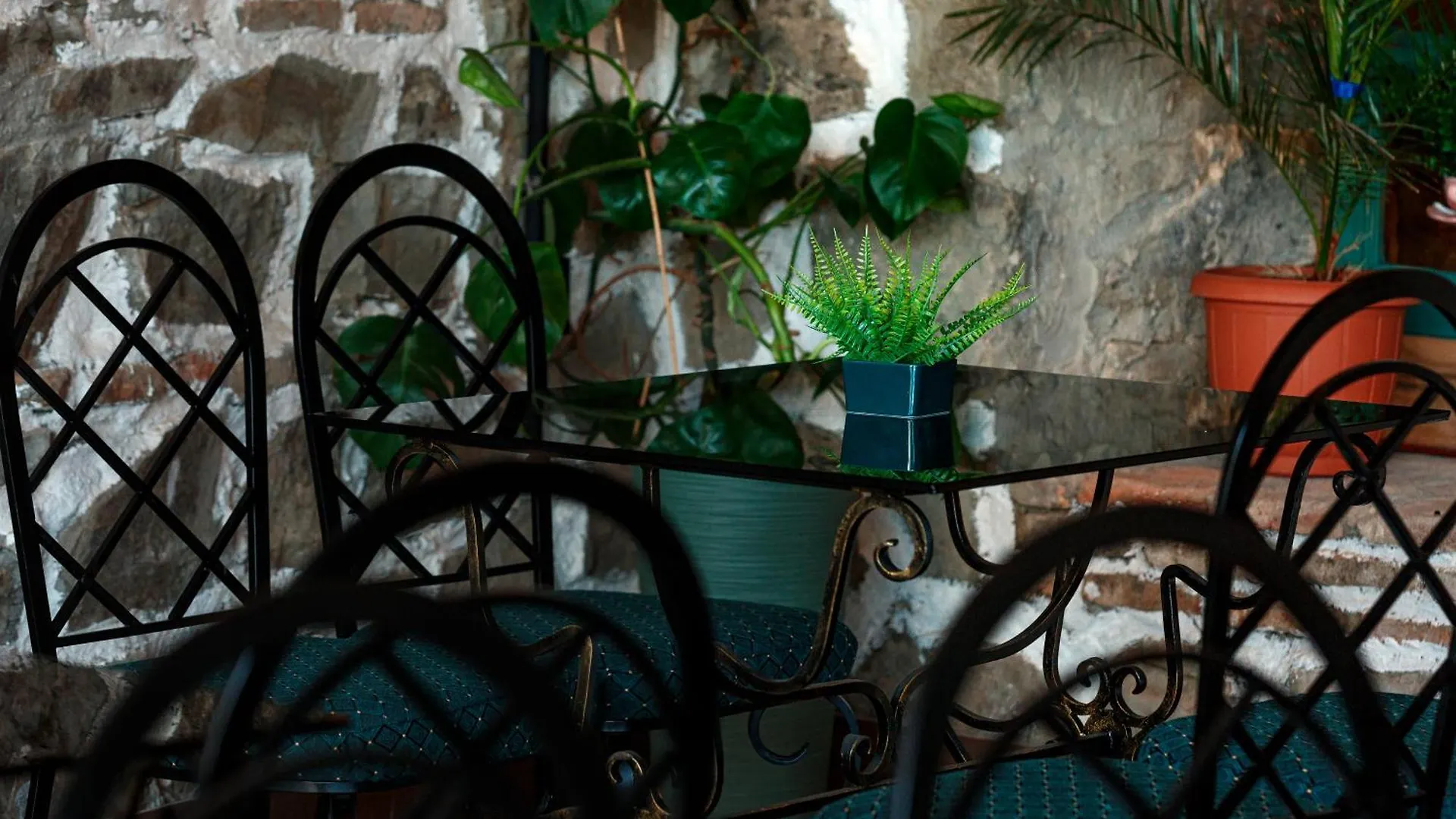 Bed and Breakfast Golden Pheasant Tiflis